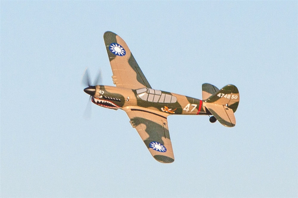 Rage RC Curtiss P-40 Warhawk Micro RTF Airplane