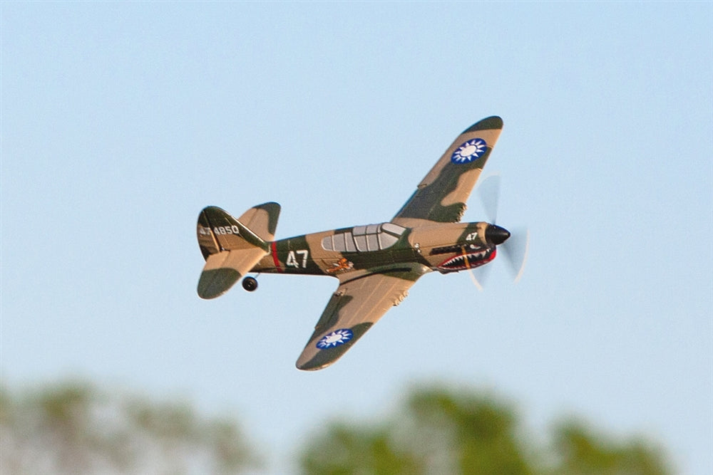 Rage RC Curtiss P-40 Warhawk Micro RTF Airplane