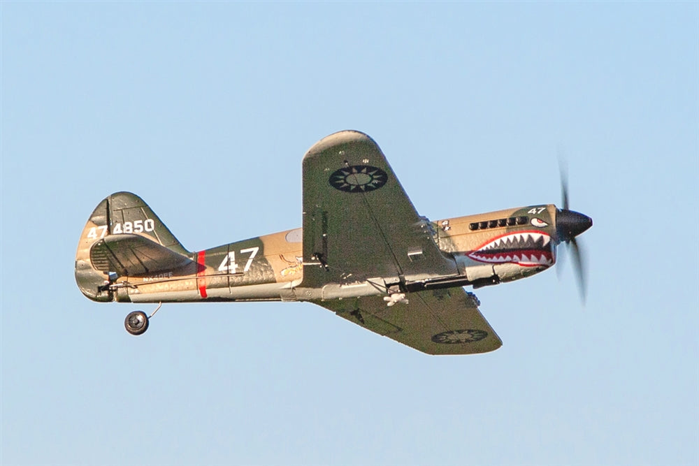 Rage RC Curtiss P-40 Warhawk Micro RTF Airplane