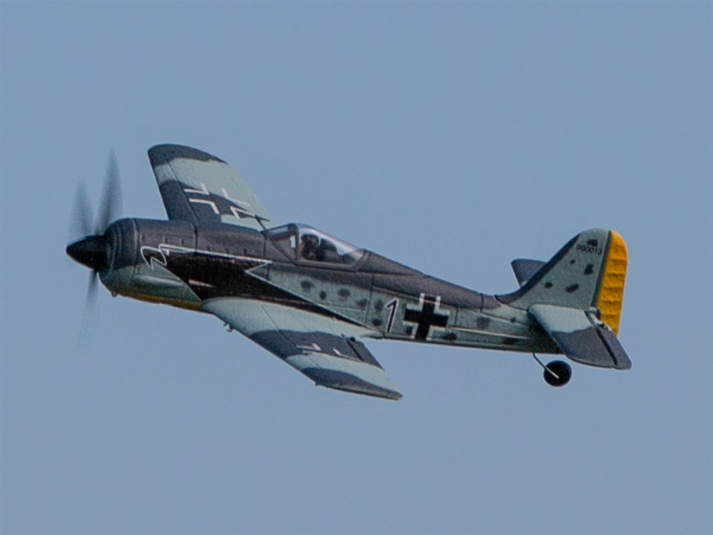 Rage RC Focke-Wulf Fw 190 Micro RTF Airplane